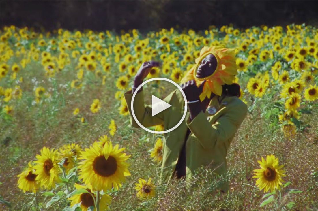 Video still from Pigeon's music video for their single Miami
