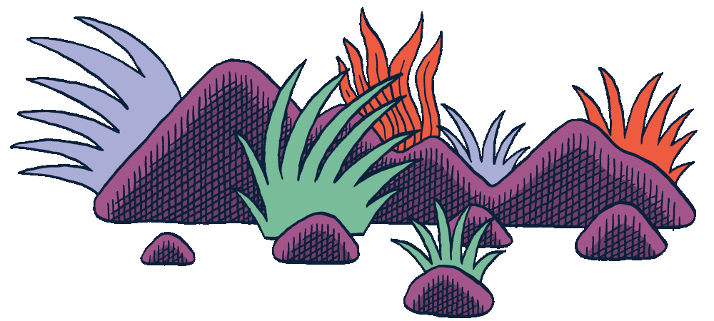 Animation placeholder