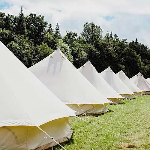 Luxury bell tents in a field