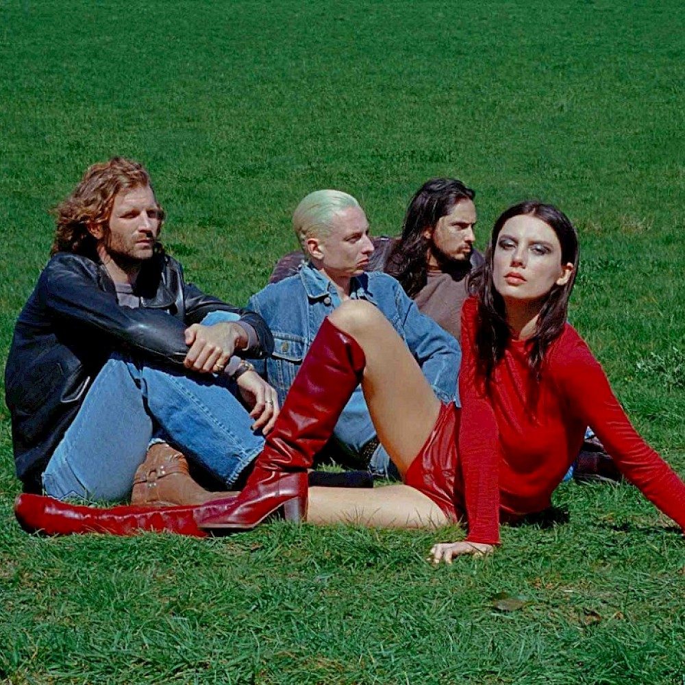 Wolf Alice sat in the grass