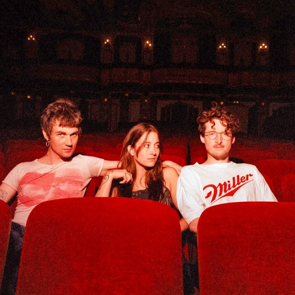 Nation of language sat in a cinema