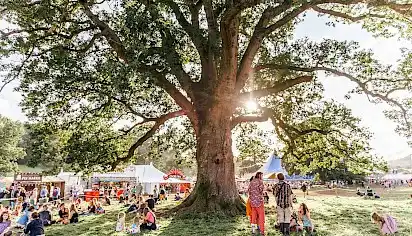 Families and friends are sat gathering around a large oak tree as the sun streams through the leaves