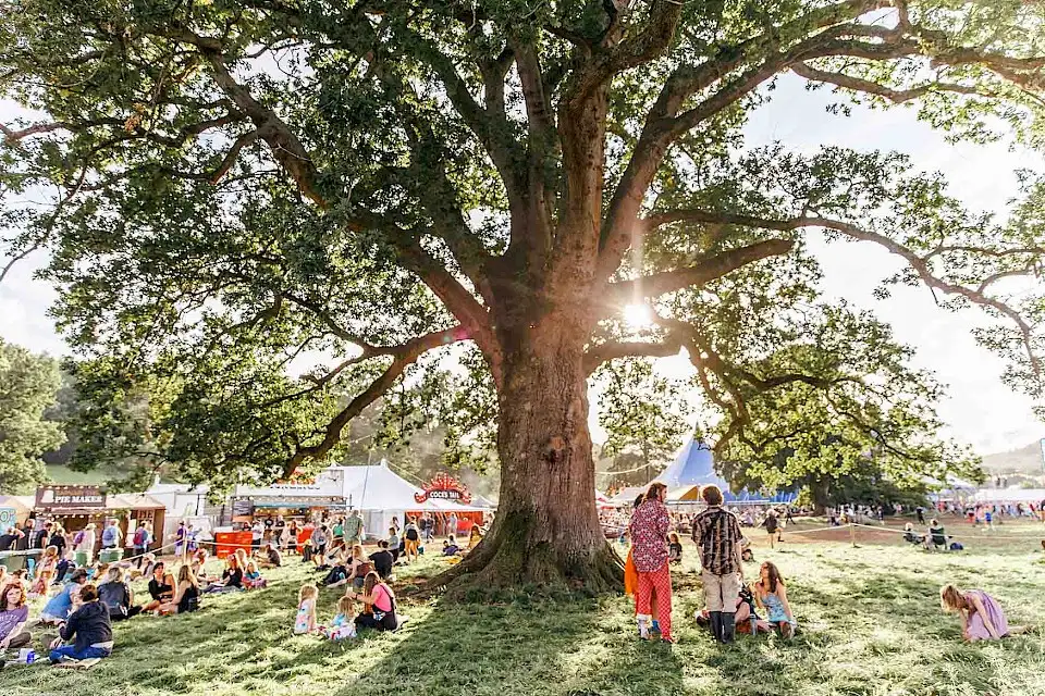 Families and friends are sat gathering around a large oak tree as the sun streams through the leaves