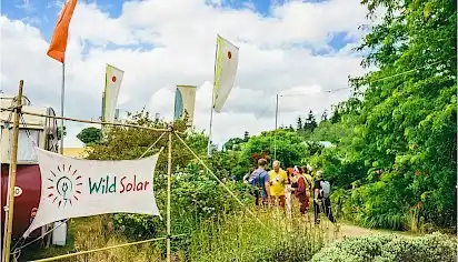 A canvas sign for WildSolar, there are festival flags and trees surrounding it