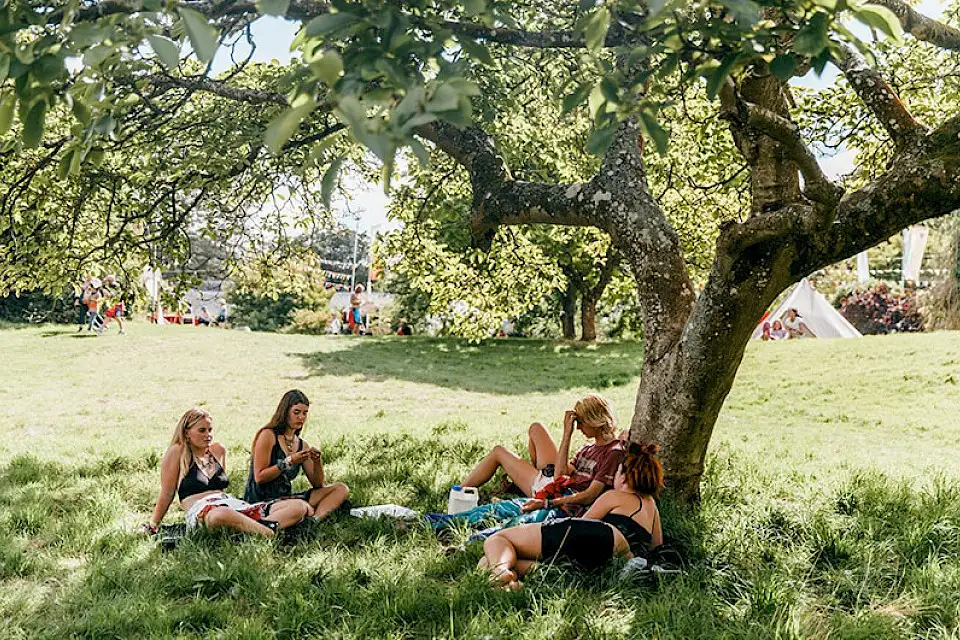 A group of young people sit in the grass under the shade of a tree