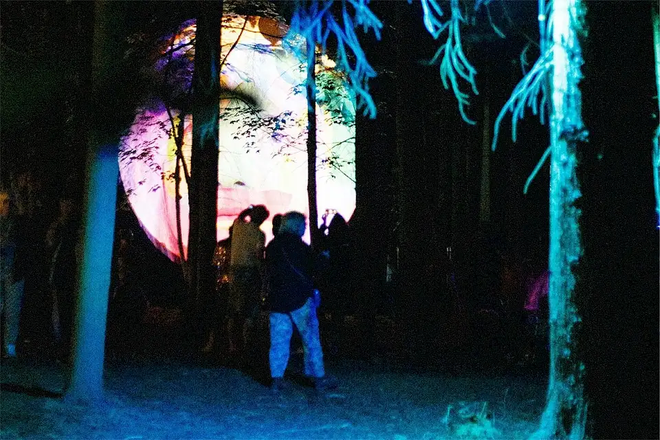 Night time in the woods, trees are illuminated by green light and a large screen plays visual art