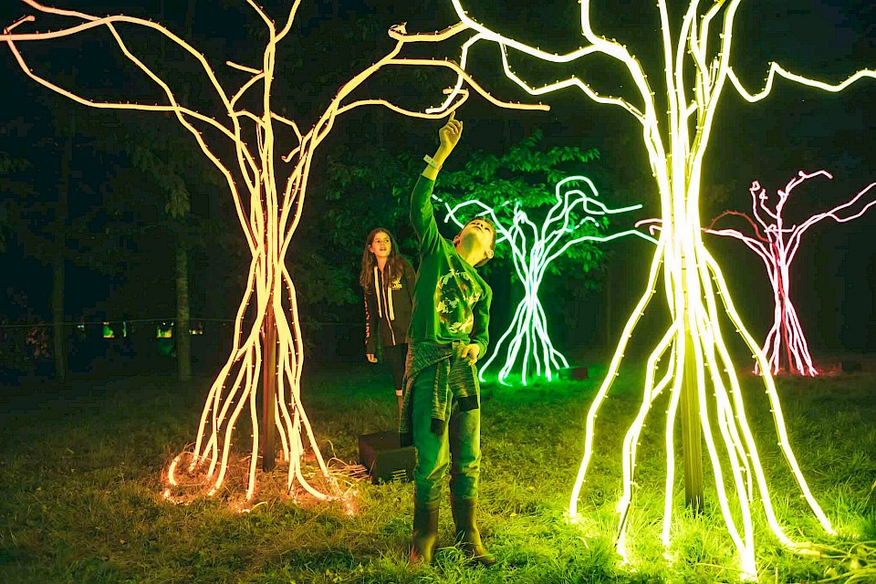 A boy reaches and touches tree trunks which are lined with lights of different colours